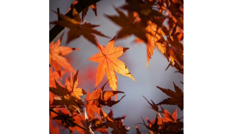 Wellness Hotel Astra*** superior Špindlerův Mlýn